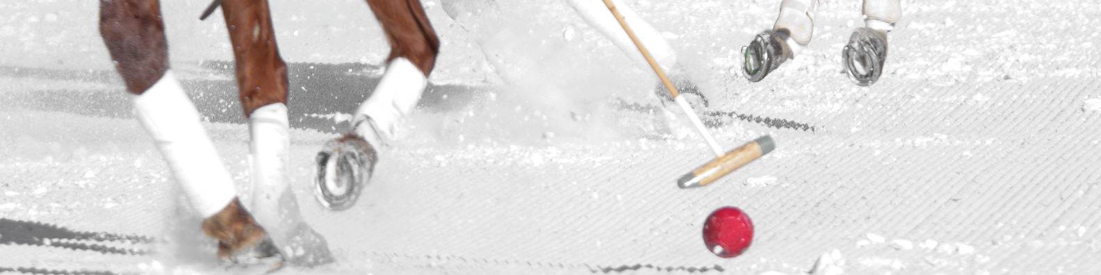 Snow Polo St. Moritz
